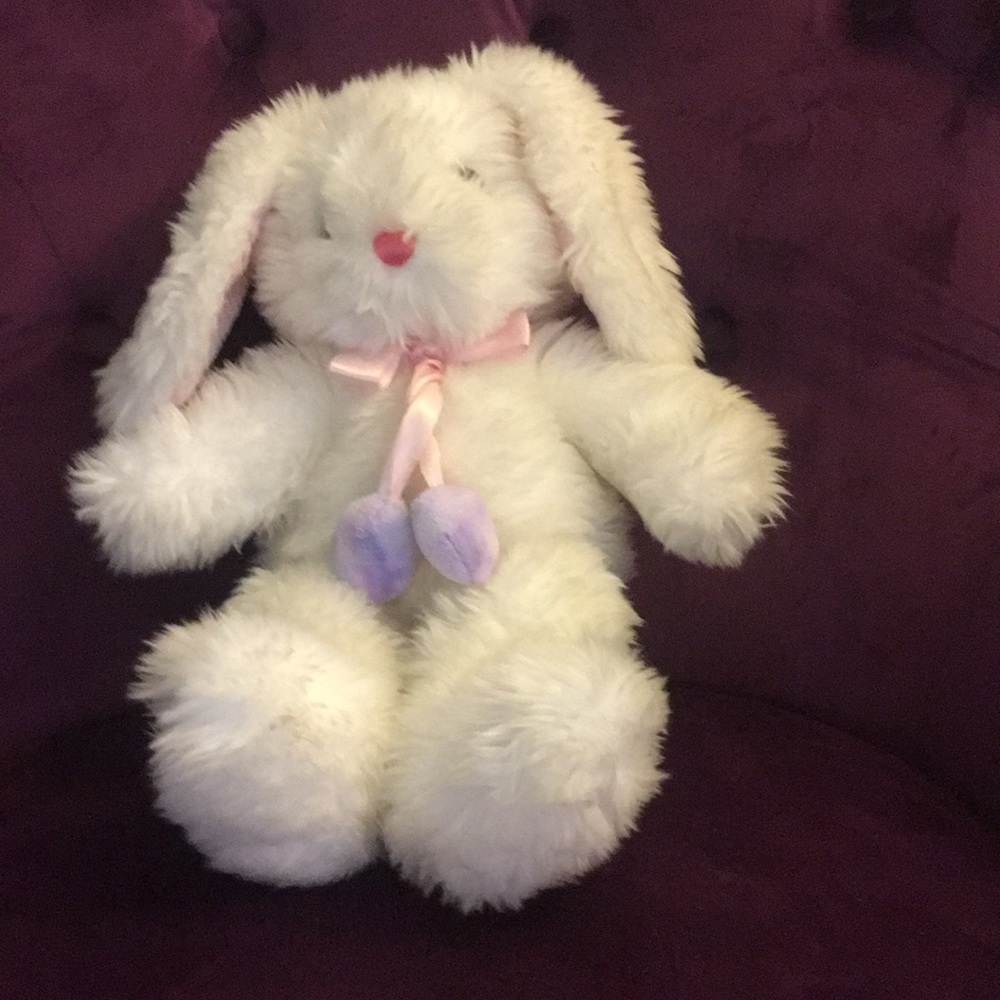 Cute bunny